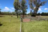"Scrubview" Frawleys Road, Thangool QLD 4716-Image