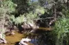 "Scrubview" Frawleys Road, Thangool QLD 4716-Image