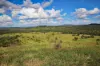 "Scrubview" Frawleys Road, Thangool QLD 4716-Image