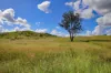 "Scrubview" Frawleys Road, Thangool QLD 4716-Image