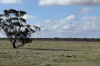 Section 93 Foote Road, Brownlow, SA 5374