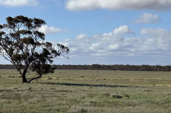 Section 93 Foote Road, Brownlow, SA 5374
