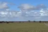 Section 93 Foote Road, Brownlow, SA 5374-Image