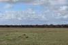 Section 93 Foote Road, Brownlow, SA 5374-Image