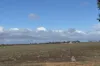 Section 93 Foote Road, Brownlow, SA 5374-Image