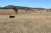 'Sparrows' Monto, Mount Perry QLD 4671-Image