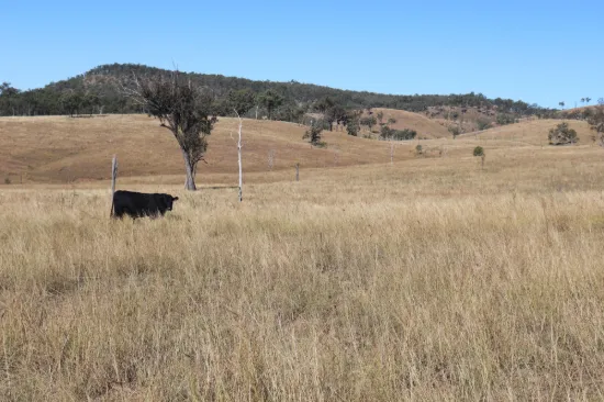 'Sparrows' Monto, Mount Perry QLD 4671-Image
