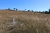 'Sparrows' Monto, Mount Perry QLD 4671-Image