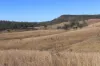 'Sparrows' Monto, Mount Perry QLD 4671-Image