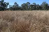 'Sparrows' Monto, Mount Perry QLD 4671-Image