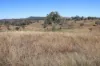 'Sparrows' Monto, Mount Perry QLD 4671-Image