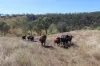 'Sparrows' Monto, Mount Perry QLD 4671-Image
