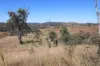 'Sparrows' Monto, Mount Perry QLD 4671-Image