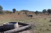 'Sparrows' Monto, Mount Perry QLD 4671-Image