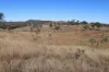 'Sparrows' Monto, Mount Perry QLD 4671-Image