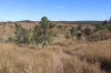'Sparrows' Monto, Mount Perry QLD 4671-Image