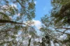 Spiden Road, Thinoomba, Qld 4650-Image