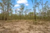 Spiden Road, Thinoomba, Qld 4650-Image