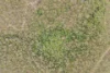 Spiden Road, Thinoomba, Qld 4650-Image