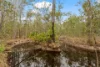 Spiden Road, Thinoomba, Qld 4650-Image