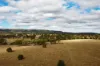 "Spring Creek" Scrubby Mountain Road, Monto QLD 4630-Image