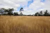 "Spring Creek" Scrubby Mountain Road, Monto QLD 4630-Image