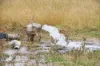 "Spring Creek" Scrubby Mountain Road, Monto QLD 4630-Image