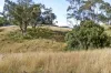 "Spring Valley" 2707 Glen Barra Road, Manilla, NSW 2346-Image