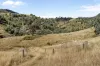 "Spring Valley" 2707 Glen Barra Road, Manilla, NSW 2346-Image