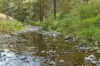 "Spring Valley" 2707 Glen Barra Road, Manilla, NSW 2346-Image