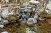 "Spring Valley" 2707 Glen Barra Road, Manilla, NSW 2346-Image