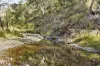 "Spring Valley" 2707 Glen Barra Road, Manilla, NSW 2346-Image