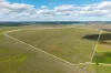 Springfield Road, Nimmitabel, NSW 2631