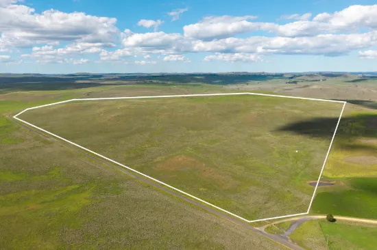 Springfield Road, Nimmitabel, NSW 2631