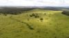 'Sunrise' Mclaughlans Road, Monto QLD 4630-Image