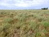 " Sunset View " Lot 15 Landsborough Highway, Winton, Qld 4735