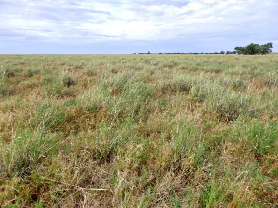 " Sunset View " Lot 15 Landsborough Highway, Winton, Qld 4735