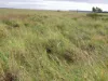 " Sunset View " Lot 15 Landsborough Highway, Winton, Qld 4735-Image
