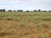 " Sunset View " Lot 15 Landsborough Highway, Winton, Qld 4735-Image