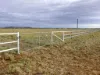 " Sunset View " Lot 15 Landsborough Highway, Winton, Qld 4735-Image