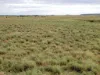 " Sunset View " Lot 15 Landsborough Highway, Winton, Qld 4735-Image