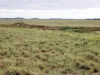 " Sunset View " Lot 15 Landsborough Highway, Winton, Qld 4735-Image
