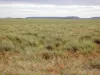 " Sunset View " Lot 15 Landsborough Highway, Winton, Qld 4735-Image