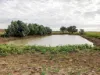 " Sunset View " Lot 15 Landsborough Highway, Winton, Qld 4735-Image