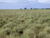 " Sunset View " Lot 15 Landsborough Highway, Winton, Qld 4735-Image