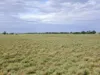 " Sunset View " Lot 15 Landsborough Highway, Winton, Qld 4735-Image
