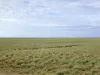 " Sunset View " Lot 15 Landsborough Highway, Winton, Qld 4735-Image