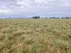 " Sunset View " Lot 15 Landsborough Highway, Winton, Qld 4735-Image