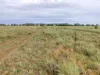 " Sunset View " Lot 15 Landsborough Highway, Winton, Qld 4735-Image