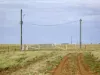 " Sunset View " Lot 15 Landsborough Highway, Winton, Qld 4735-Image